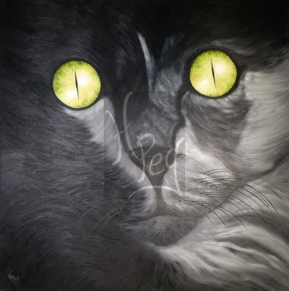 Chat noir yeux verts